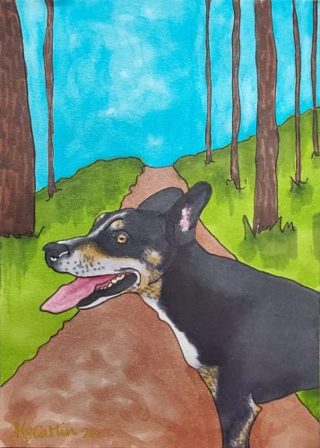 illustration of a black and brindle cattle dog in profile on a wooded trail