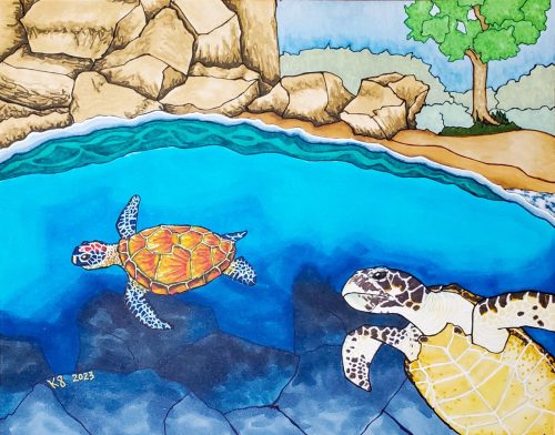 sea turtles swim near a rocky beach