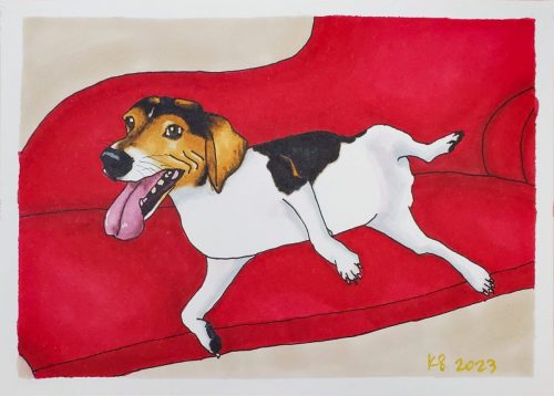 a dog reclines on a red settee with it's tongue out