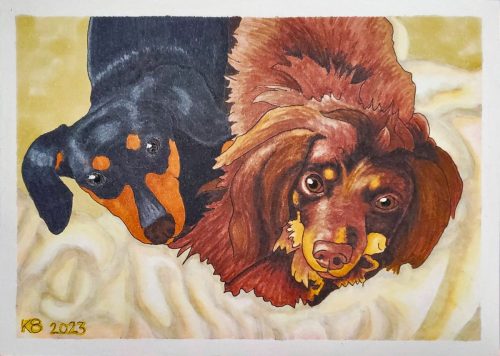 two dogs